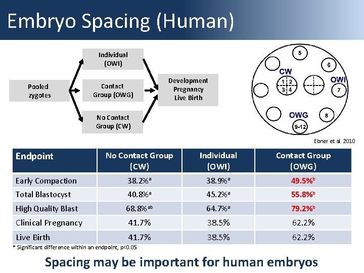 Embryo Spacing (Human) Individual (OWI) Pooled zygotes Contact Group (OWG) Development Pregnancy Live Birth