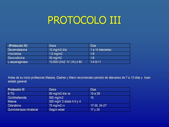 PROTOCOLO III 