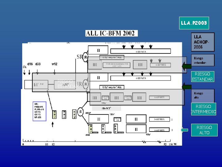 LLA. P 2003 RIESGO ESTANDAR RIESGO INTERMEDIO RIESGO ALTO 