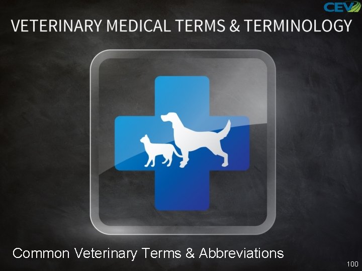 Common Veterinary Terms & Abbreviations 100 