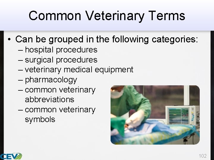 Common Veterinary Terms • Can be grouped in the following categories: – hospital procedures