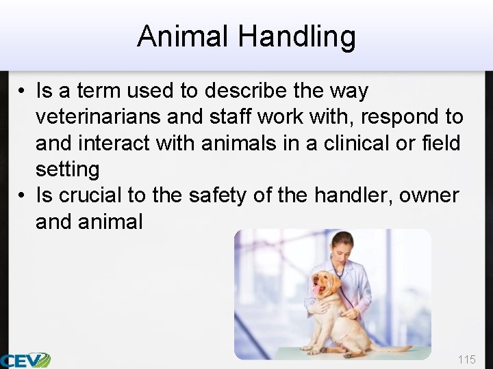 Animal Handling • Is a term used to describe the way veterinarians and staff