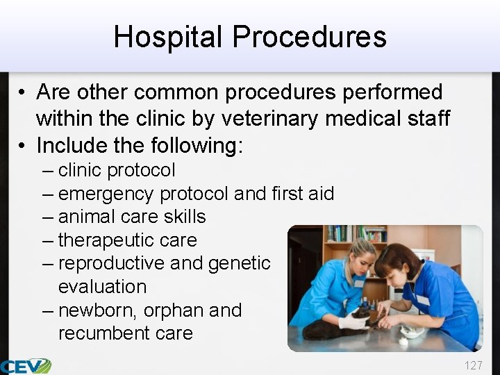 Hospital Procedures • Are other common procedures performed within the clinic by veterinary medical