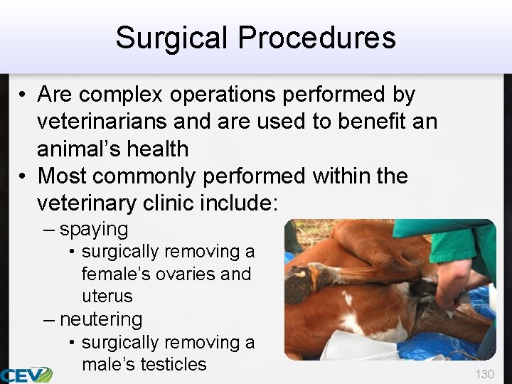 Surgical Procedures • Are complex operations performed by veterinarians and are used to benefit