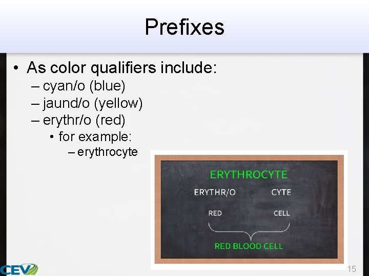 Prefixes • As color qualifiers include: – cyan/o (blue) – jaund/o (yellow) – erythr/o