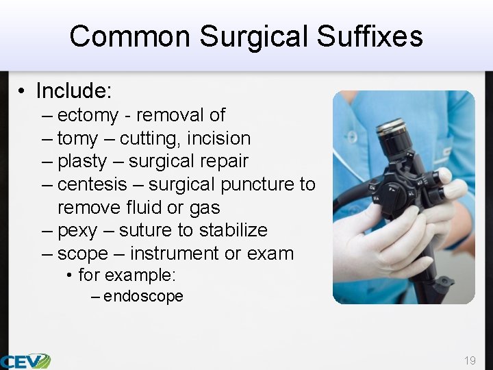 Common Surgical Suffixes • Include: – ectomy - removal of – tomy – cutting,