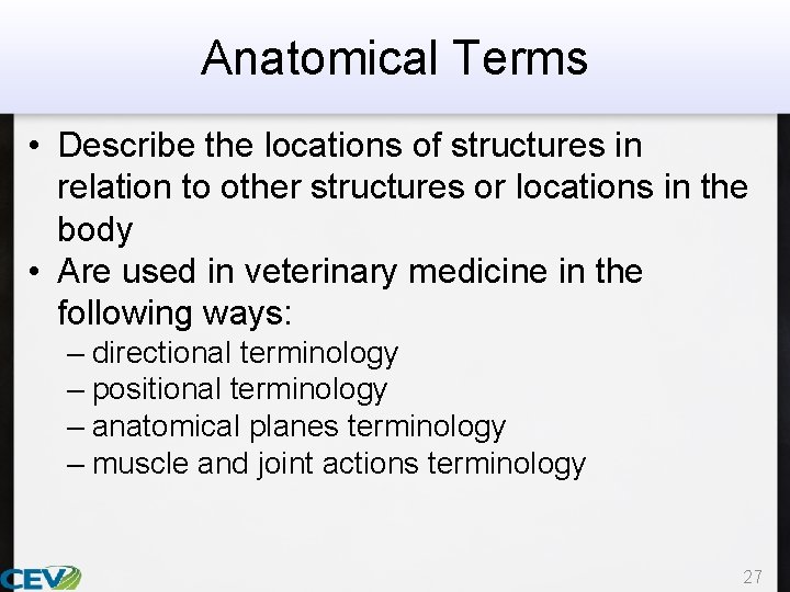 Anatomical Terms • Describe the locations of structures in relation to other structures or