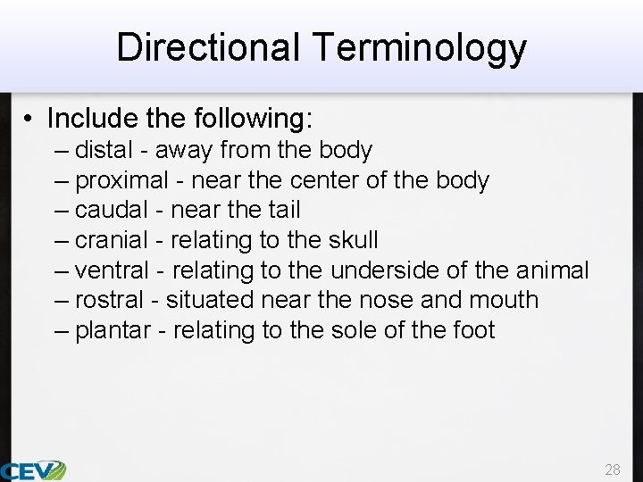 Directional Terminology • Include the following: – distal - away from the body –