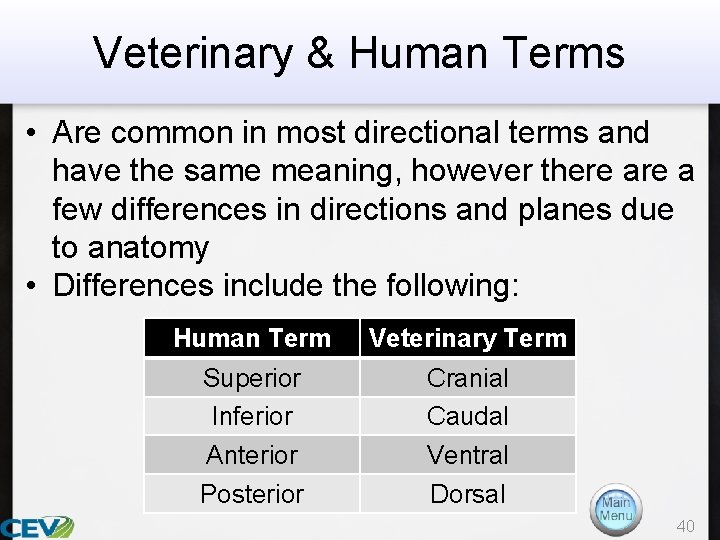 Veterinary & Human Terms • Are common in most directional terms and have the