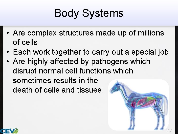 Body Systems • Are complex structures made up of millions of cells • Each