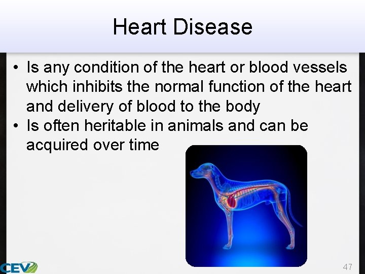 Heart Disease • Is any condition of the heart or blood vessels which inhibits