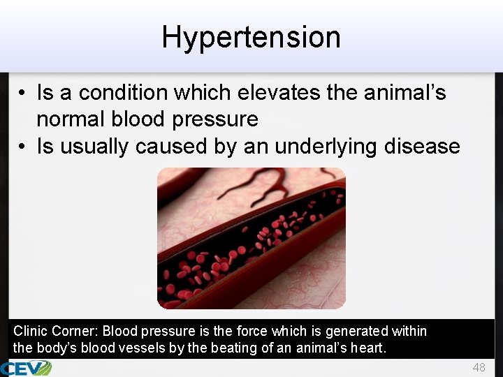 Hypertension • Is a condition which elevates the animal’s normal blood pressure • Is