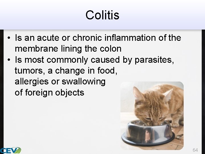 Colitis • Is an acute or chronic inflammation of the membrane lining the colon