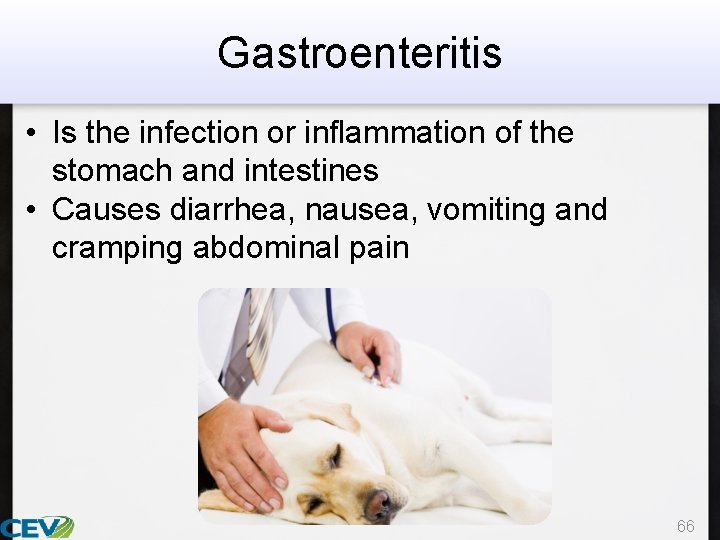 Gastroenteritis • Is the infection or inflammation of the stomach and intestines • Causes