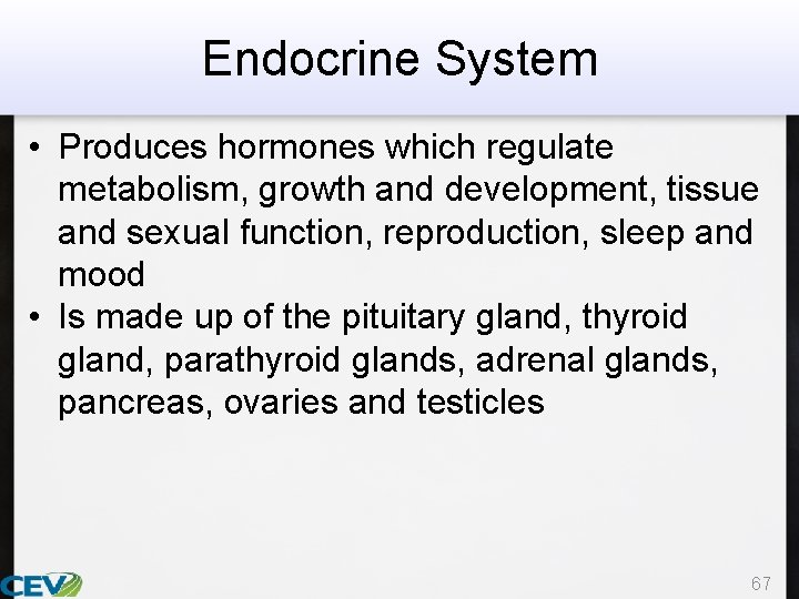 Endocrine System • Produces hormones which regulate metabolism, growth and development, tissue and sexual
