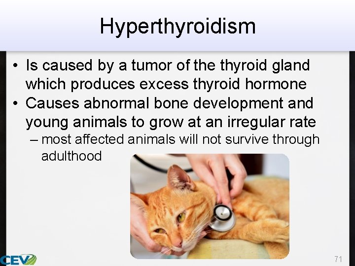 Hyperthyroidism • Is caused by a tumor of the thyroid gland which produces excess