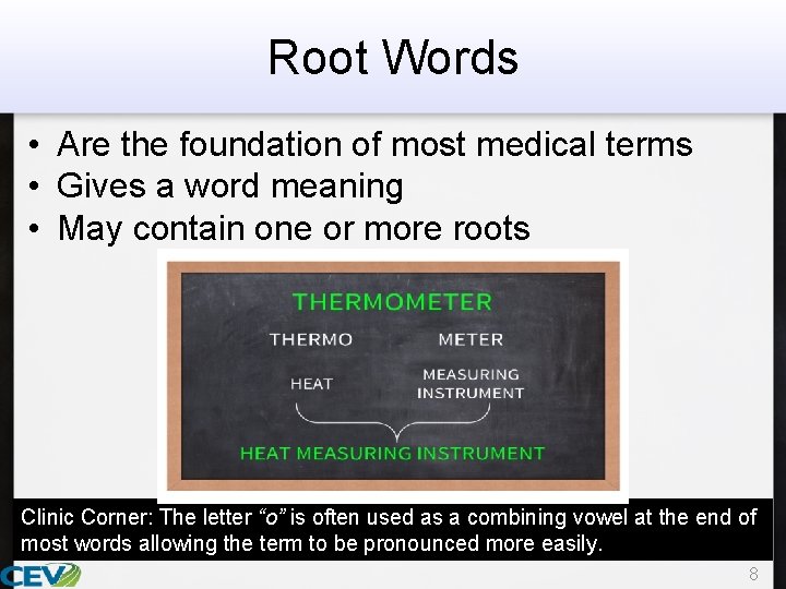 Root Words • Are the foundation of most medical terms • Gives a word