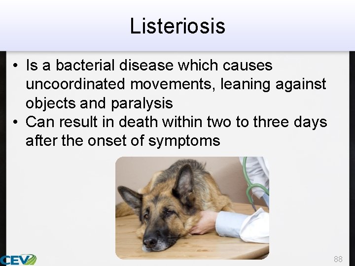 Listeriosis • Is a bacterial disease which causes uncoordinated movements, leaning against objects and