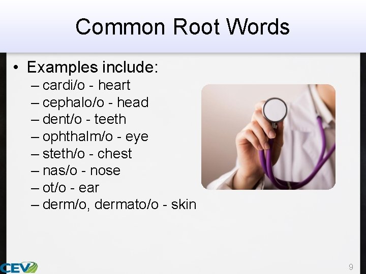 Common Root Words • Examples include: – cardi/o - heart – cephalo/o - head