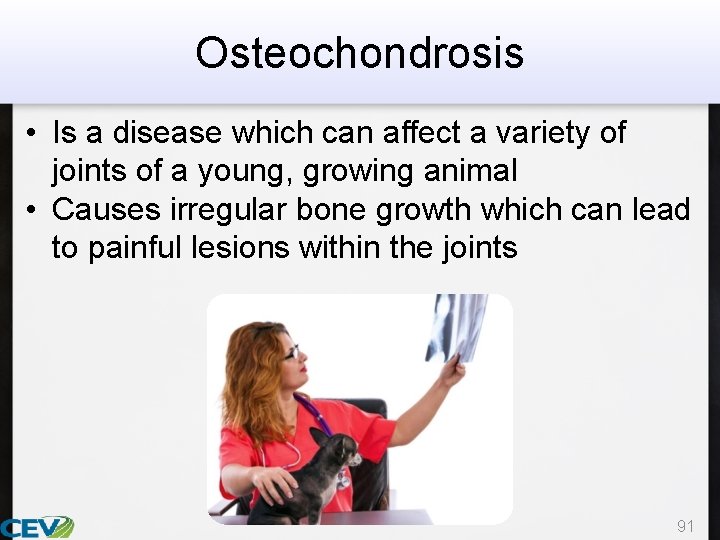 Osteochondrosis • Is a disease which can affect a variety of joints of a