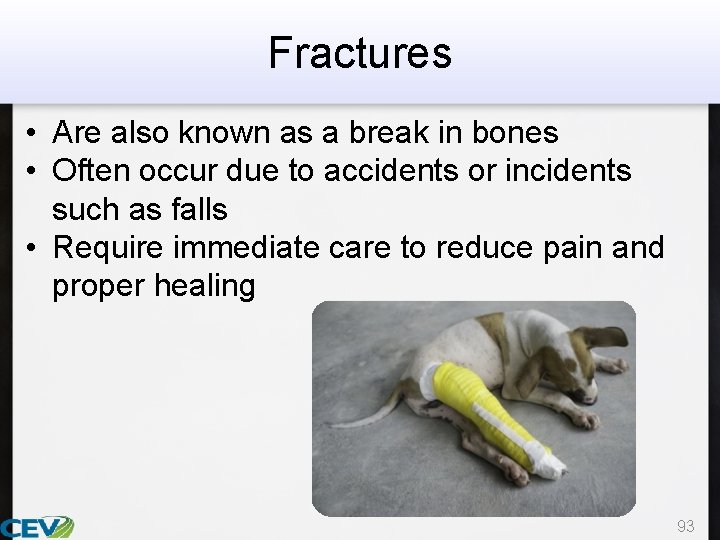 Fractures • Are also known as a break in bones • Often occur due