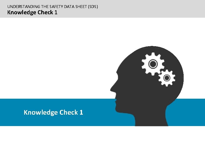 UNDERSTANDING THE SAFETY DATA SHEET (SDS) Knowledge Check 1 