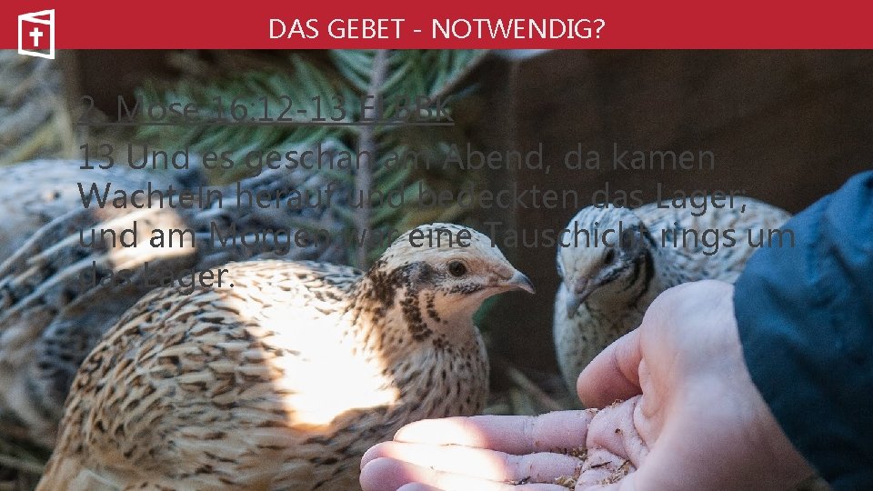 DAS GEBET - NOTWENDIG? 2. Mose 16: 12 -13 ELBBK 13 Und es geschah