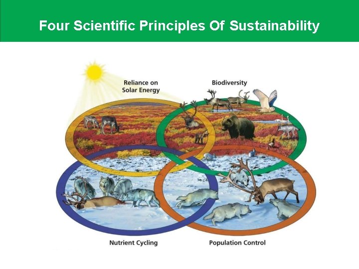 Four Scientific Principles Of Sustainability 