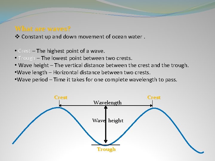 What are waves? v Constant up and down movement of ocean water. • Crest