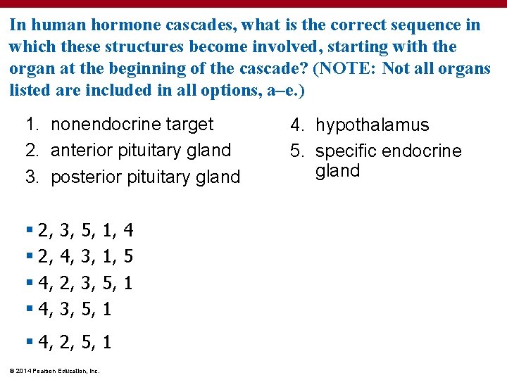 In human hormone cascades, what is the correct sequence in which these structures become