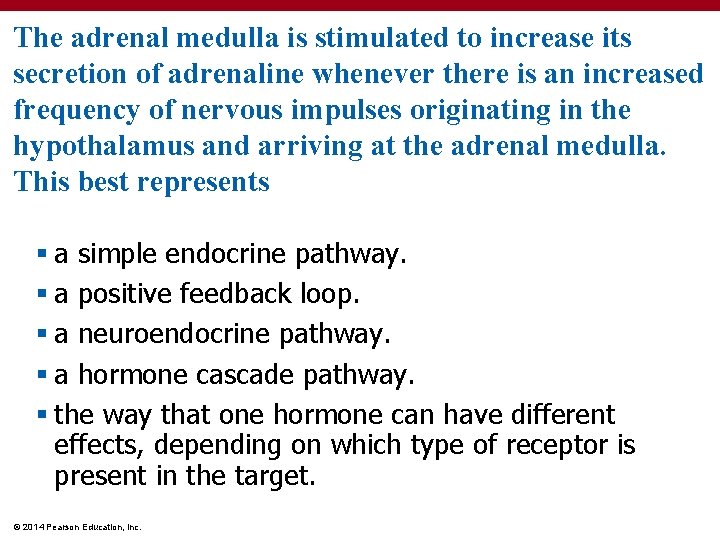 The adrenal medulla is stimulated to increase its secretion of adrenaline whenever there is