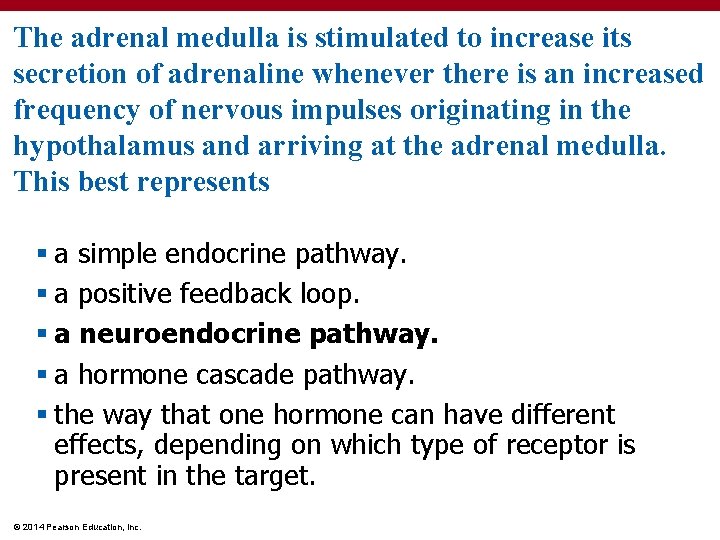 The adrenal medulla is stimulated to increase its secretion of adrenaline whenever there is