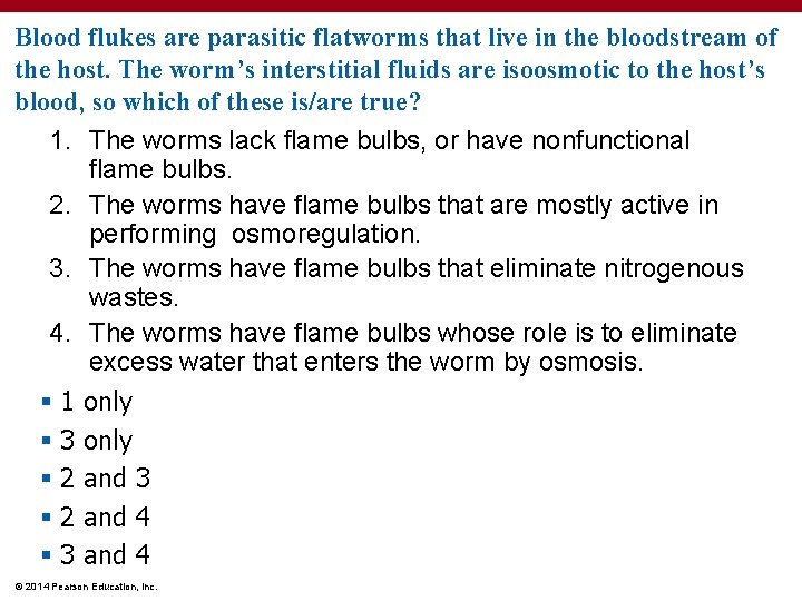 Blood flukes are parasitic flatworms that live in the bloodstream of the host. The