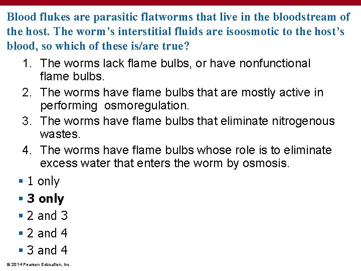 Blood flukes are parasitic flatworms that live in the bloodstream of the host. The