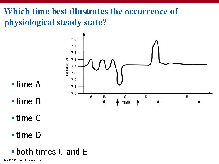 Which time best illustrates the occurrence of physiological steady state? § time A §