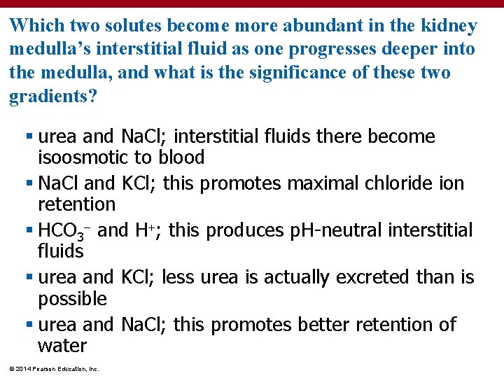 Which two solutes become more abundant in the kidney medulla’s interstitial fluid as one