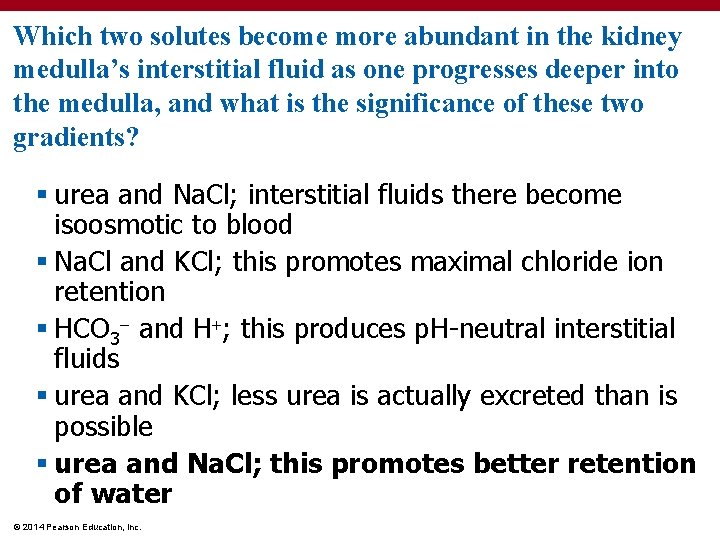 Which two solutes become more abundant in the kidney medulla’s interstitial fluid as one