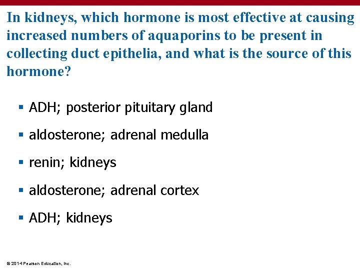 In kidneys, which hormone is most effective at causing increased numbers of aquaporins to