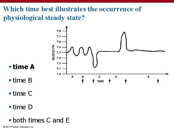 Which time best illustrates the occurrence of physiological steady state? § time A §