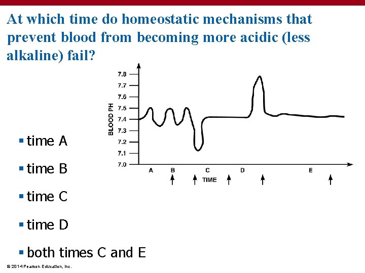 At which time do homeostatic mechanisms that prevent blood from becoming more acidic (less