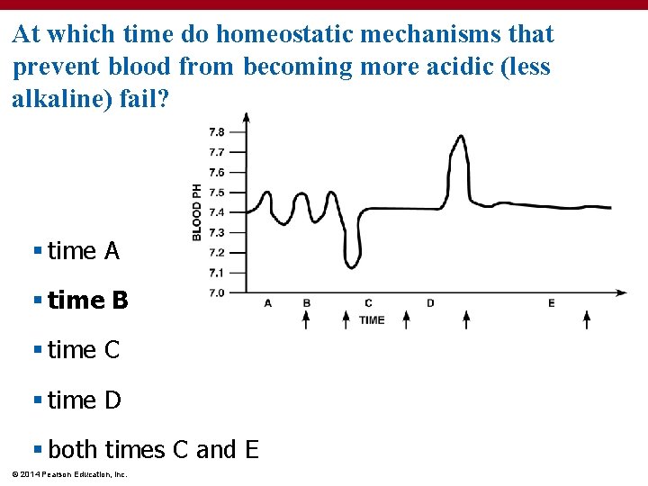 At which time do homeostatic mechanisms that prevent blood from becoming more acidic (less