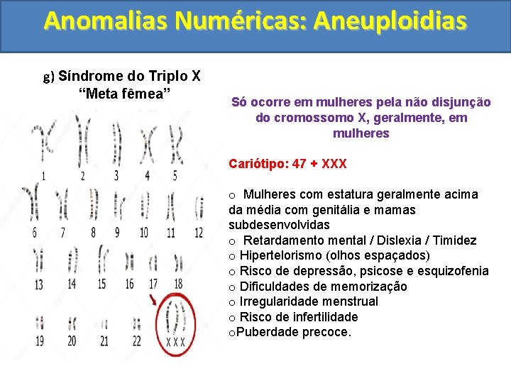 Anomalias Numéricas: Aneuploidias g) Síndrome do Triplo X “Meta fêmea” Só ocorre em mulheres