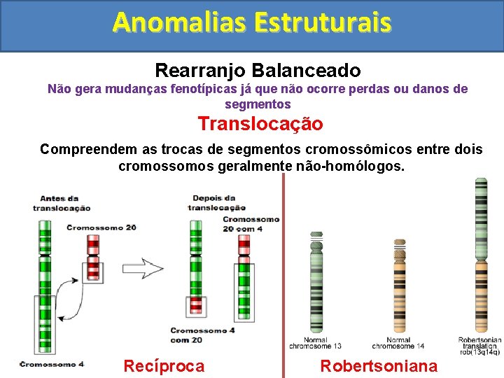 Anomalias Estruturais Rearranjo Balanceado Não gera mudanças fenotípicas já que não ocorre perdas ou