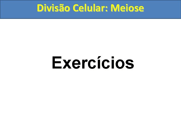 Divisão Celular: Meiose Exercícios 