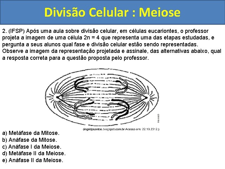 Divisão Celular : Meiose 2. (IFSP) Após uma aula sobre divisão celular, em células