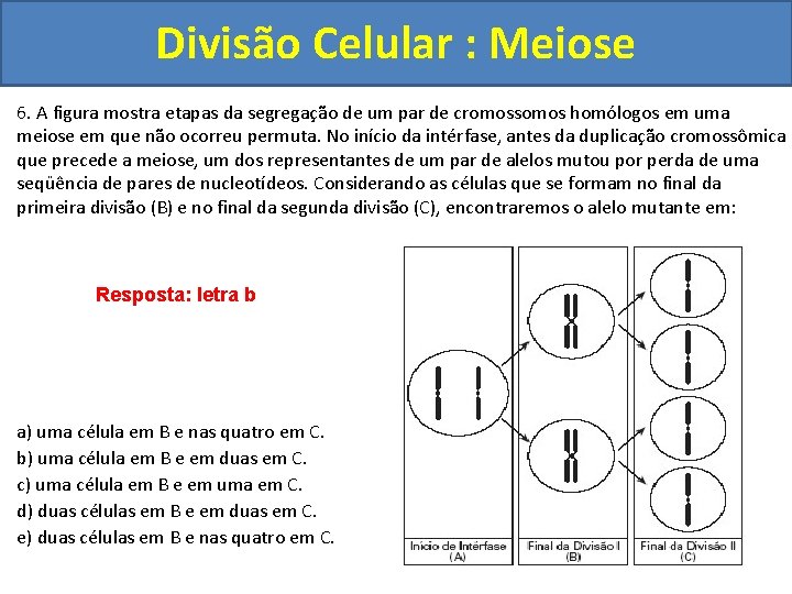Divisão Celular : Meiose 6. A figura mostra etapas da segregação de um par