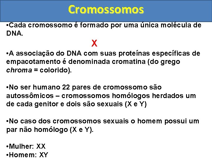 Cromossomos • Cada cromossomo é formado por uma única molécula de DNA. X •