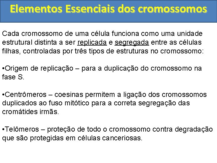 Elementos Essenciais dos cromossomos Cada cromossomo de uma célula funciona como uma unidade estrutural