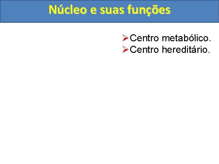 Núcleo e suas funções ØCentro metabólico. ØCentro hereditário. 