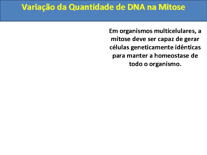 Variação da Quantidade de DNA na Mitose Em organismos multicelulares, a mitose deve ser